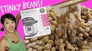 DIY Instant Pot Natto  Homemade Fermented Stinky Soybeans [upl. by Clo]