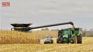 FENDT IDEAL 9T Combine Harvesting Corn [upl. by Ayanahs]