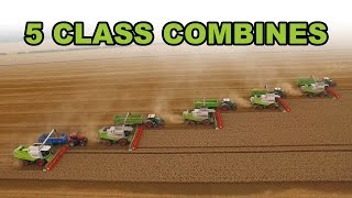 5 Combine Harvesters Working Together [upl. by Marb]