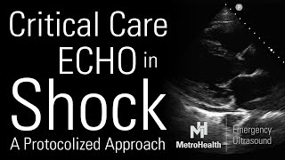 Critical Care Echocardiography in Shock [upl. by Aihsenat]