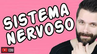 SISTEMA NERVOSO  FISIOLOGIA  Aula  Biologia com Samuel Cunha [upl. by Ornstead]