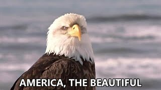 America The Beautiful [upl. by Andert]