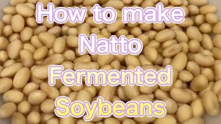 how to make Natto（fermented soybeans [upl. by Demetrius]