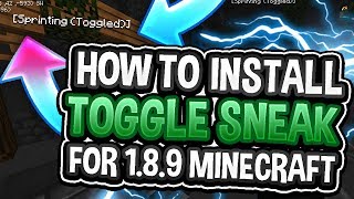 How to Get Toggle SneakSprint for Minecraft 189 [upl. by Kimbell387]