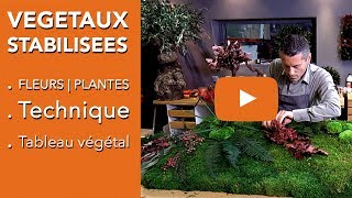 PLANTES STABILISÉESFLEURS STABILISÉESVÉGÉTAUX STABILISÉS quelle technique [upl. by Aloibaf]