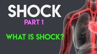 What Is Shock  Shock Pathophysiology  Shock Part 1 [upl. by Ressan]