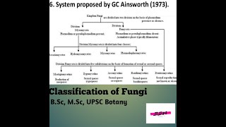 Classification of Fungi BSc MSc UPSC Botany [upl. by Neils]