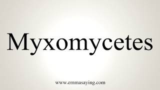 How To Pronounce Myxomycetes [upl. by Etty773]