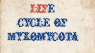 Life cycle of Myxomycota [upl. by Atnoid124]