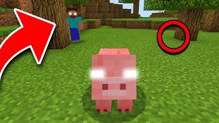 How to Tell if a MOB is POSSESSED in Minecraft [upl. by Gilchrist602]