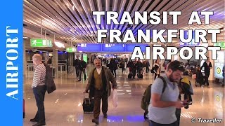 TRANSIT WALK AT FRANKFURT Airport FRA Terminal 1  Connection Flight Transfer Arriving amp Departing [upl. by Bloom330]